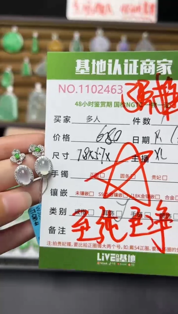 银S925镶嵌翡翠耳饰多人