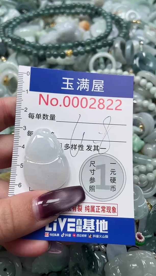 颈饰未镶嵌翡翠2822