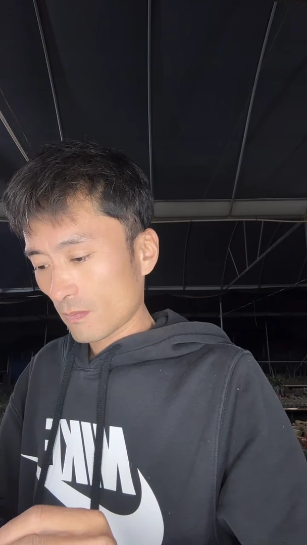 徐*实生帝冠47.99