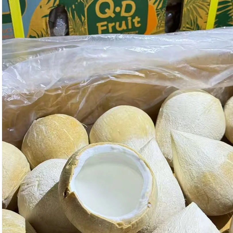 【D牌】QD泰国进口椰皇香甜清澈【坏果包赔】只做新票 发顺丰