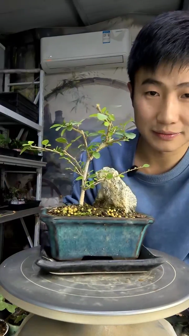 小*.中青园艺一物一拍403