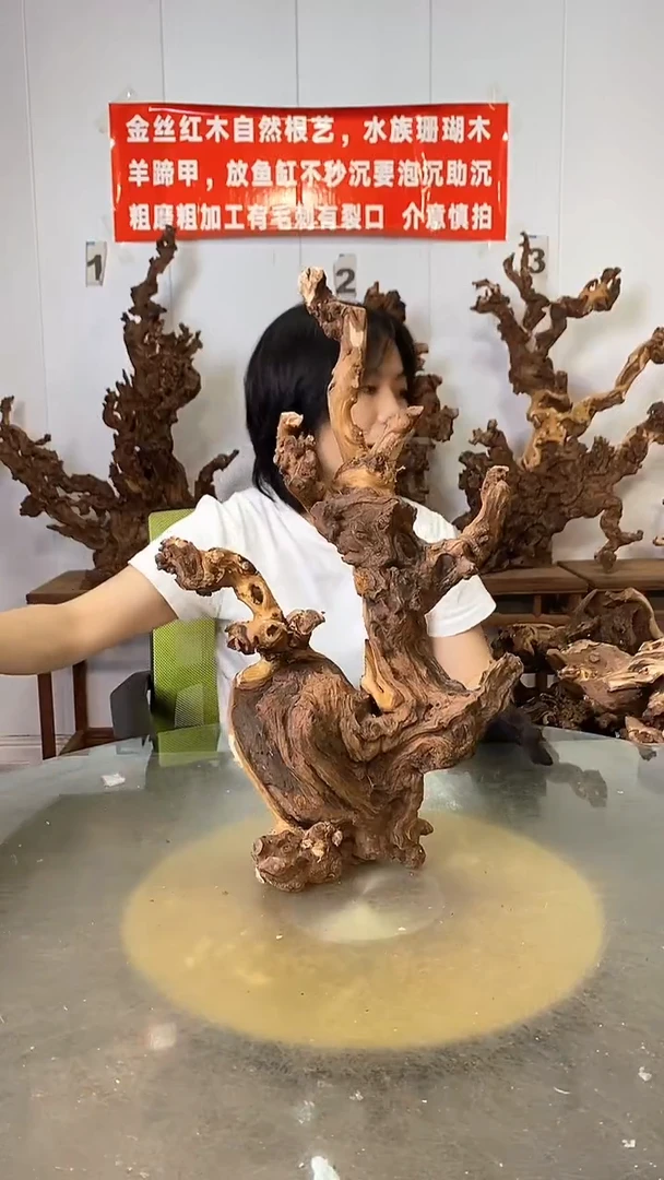 香榧木@***噻金丝红木   羊蹄甲