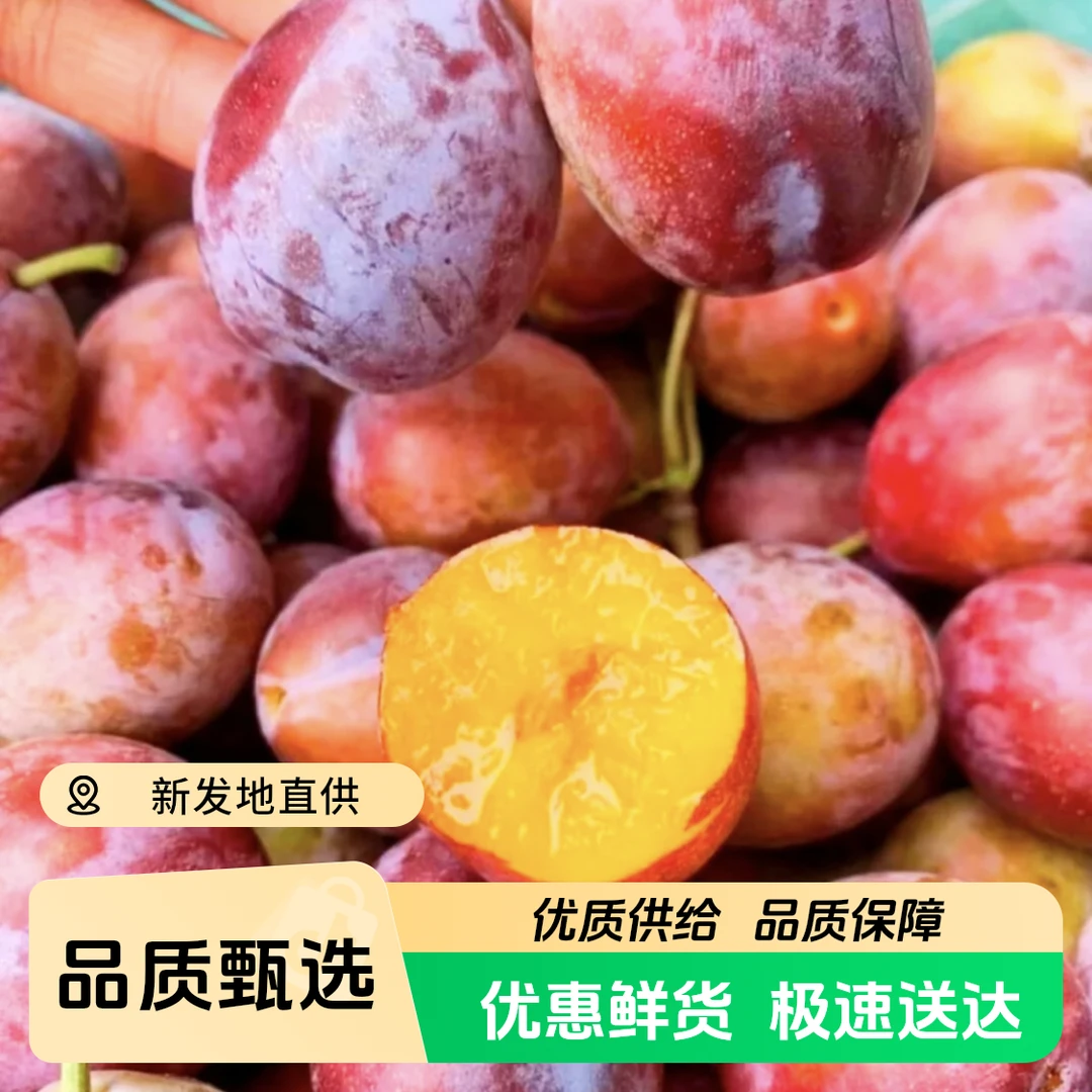 【次日达】新疆法兰西西梅水果好吃爆汁甜