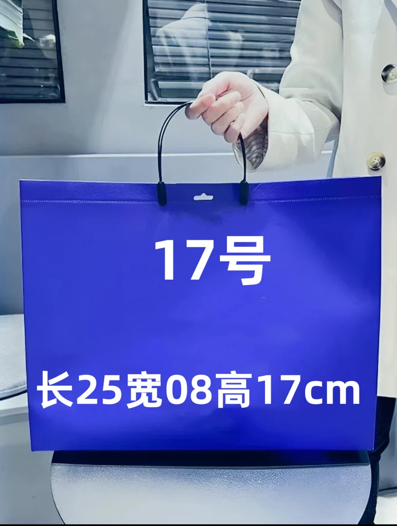 【17号】高级感单肩斜挎包9791-1#
