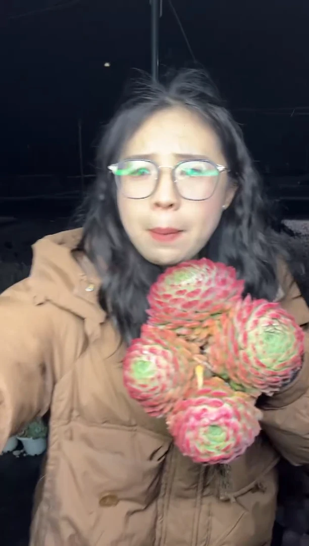 【闪购商品】29-挑红的四头起朱砂痣7.8