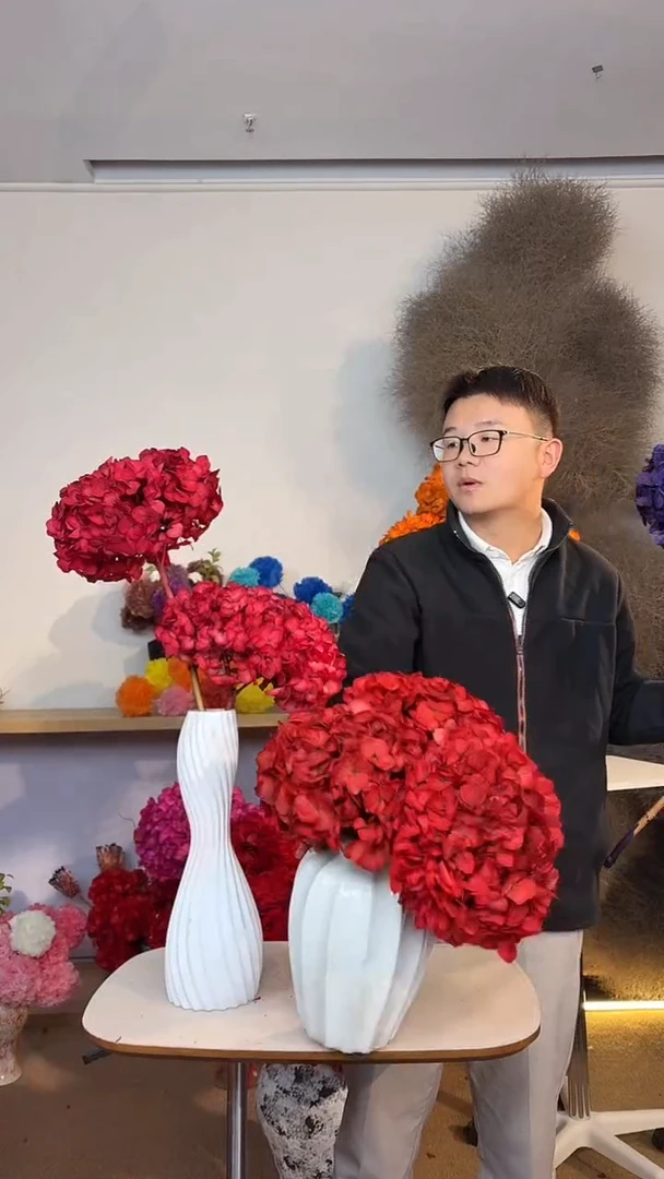 S级 吸色永生大叶绣球3枝  红色