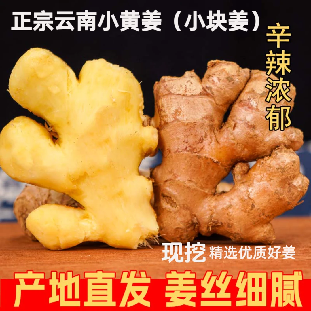 云南高山新鲜小黄姜现挖农家自种老姜泡脚专用小黄姜生姜老姜批发