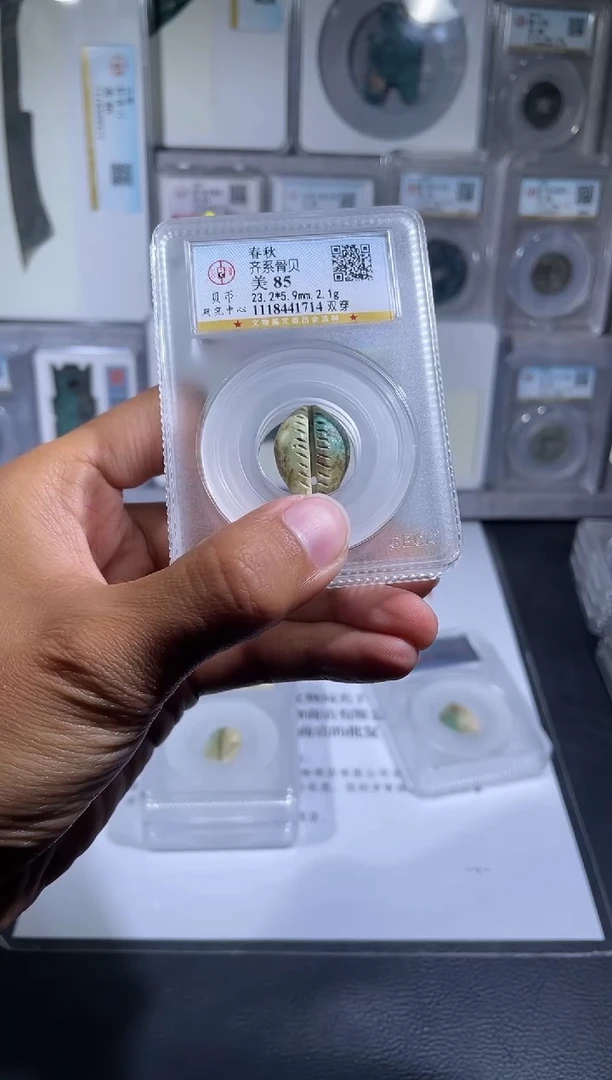铜琪珍   骨贝骨贝一枚
