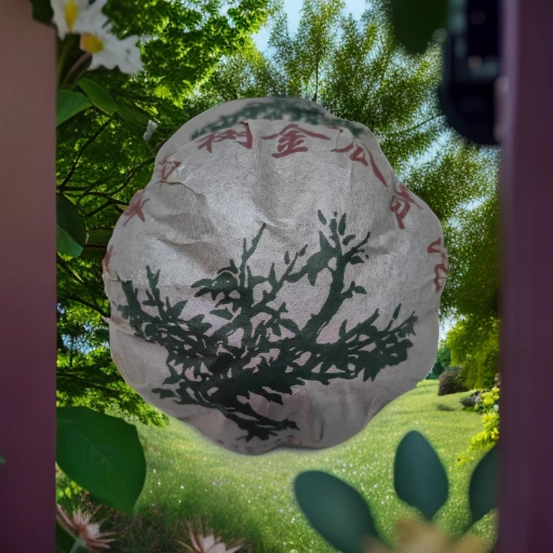 LG525-2005年 金瓜贡沱 熟沱 500g