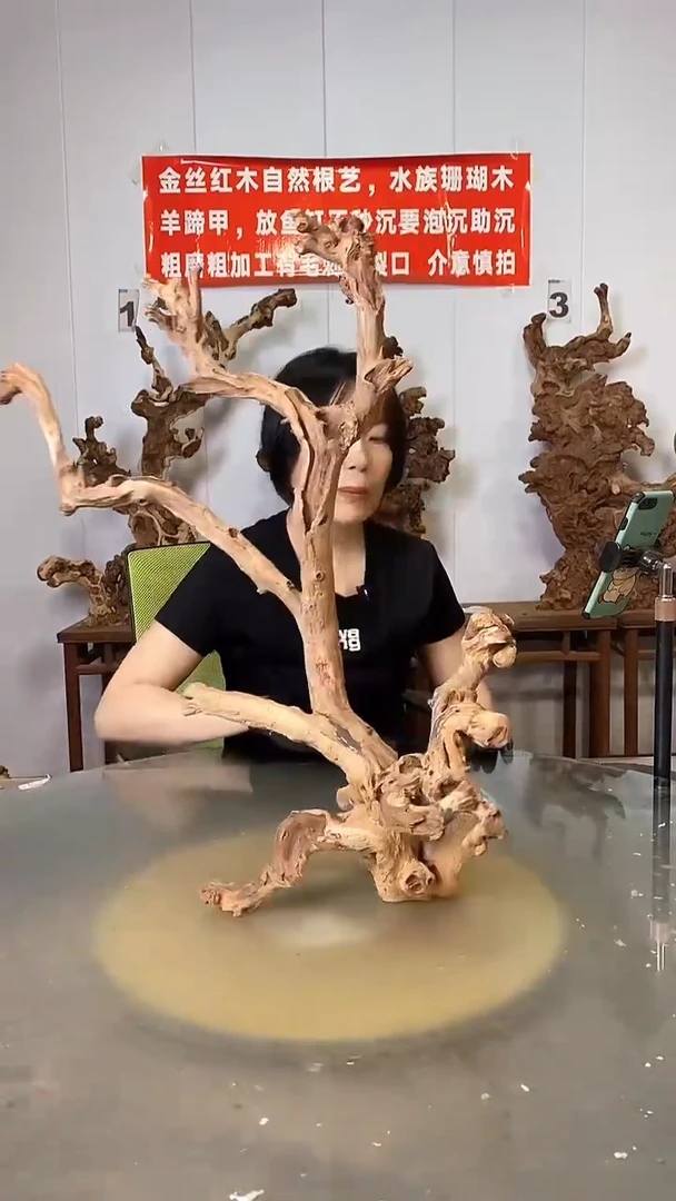 香榧木A****t金丝红木 羊蹄甲