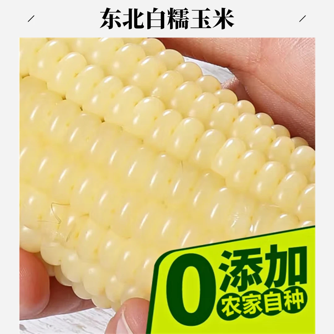 【湖南农批】东北白糯玉米10根顺丰送货到家g白糯玉米黑龙江省