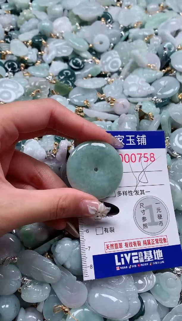 翡翠未镶嵌颈饰758