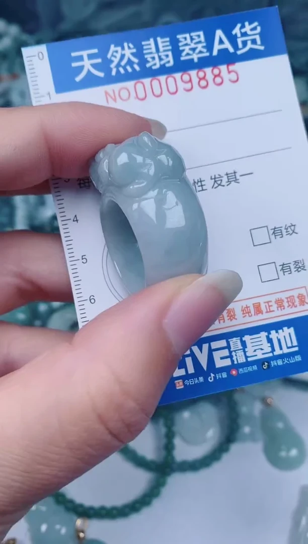 颈饰未镶嵌翡翠00009885