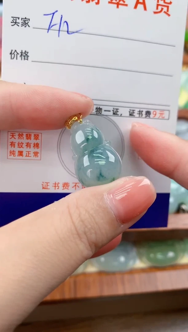 颈饰未镶嵌翡翠天然A货翡翠挂件