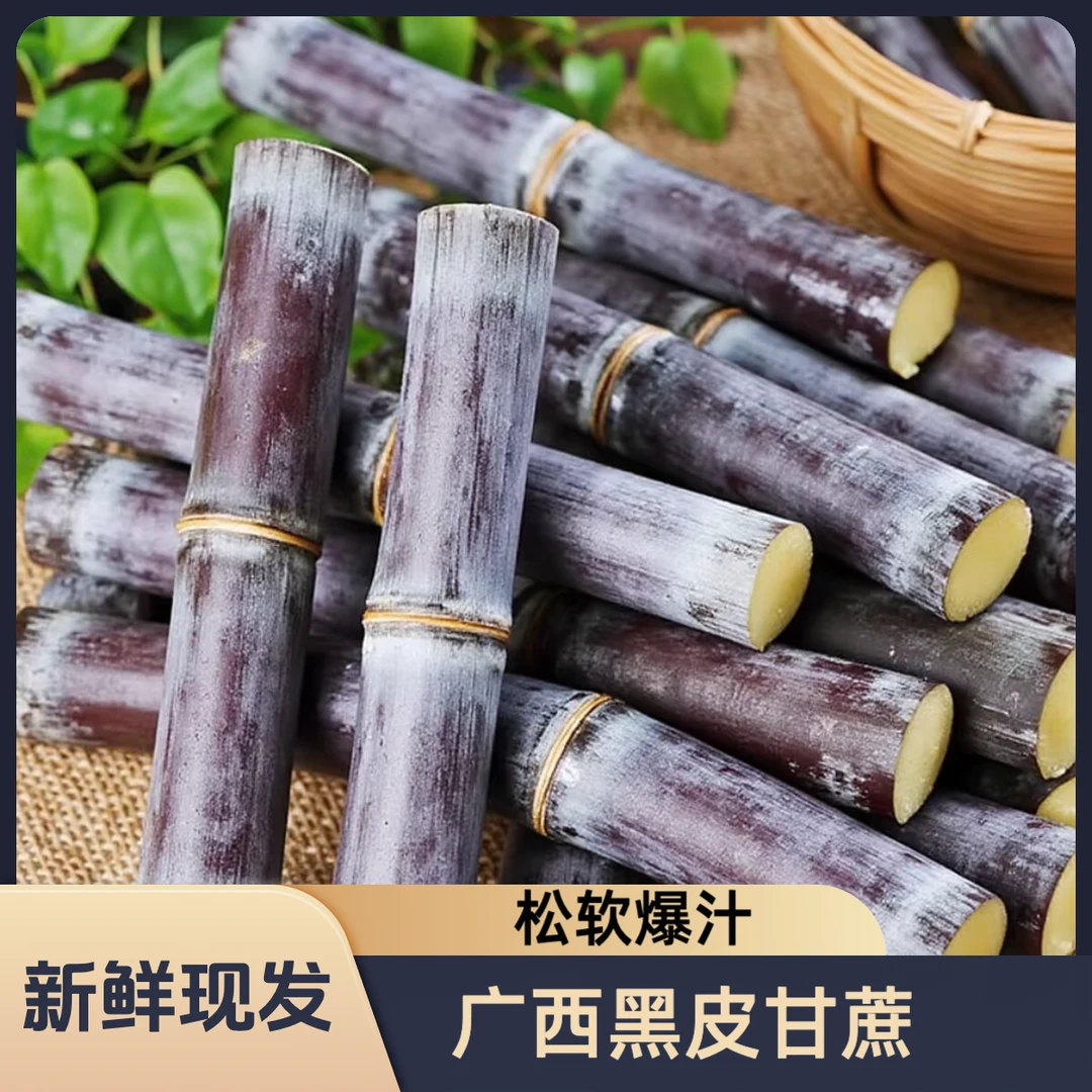 广西桂林阳朔黑皮甘蔗 新鲜现砍脆甜长节酥脆爆汁水应季水果甘蔗