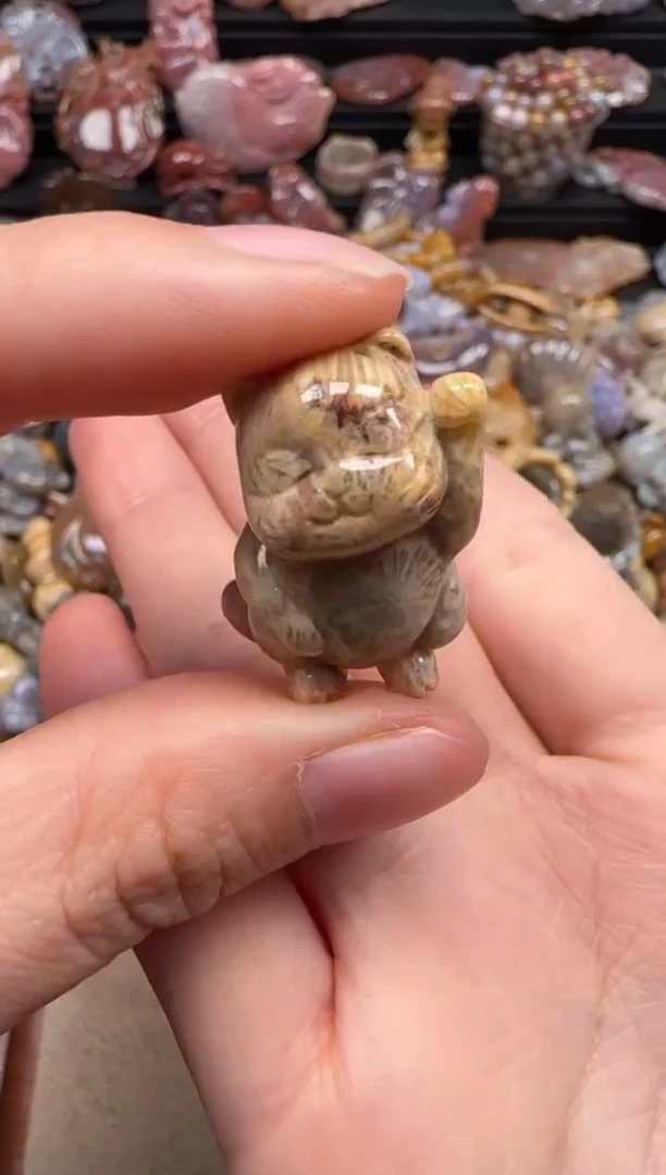 【闪购商品】硅化珊瑚（珊瑚玉）颈饰未镶嵌604