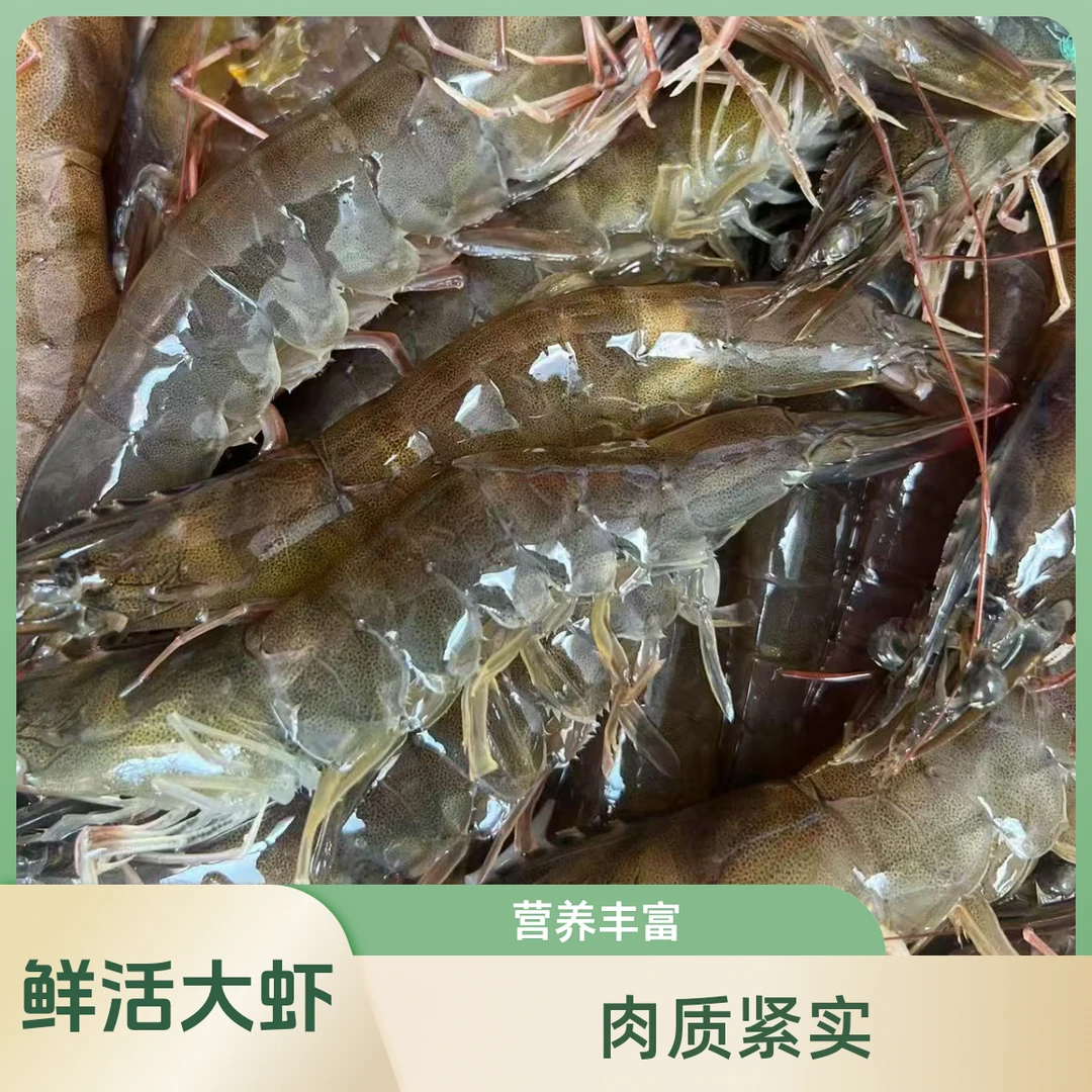 大虾鲜美三斤装【保鲜不保活】