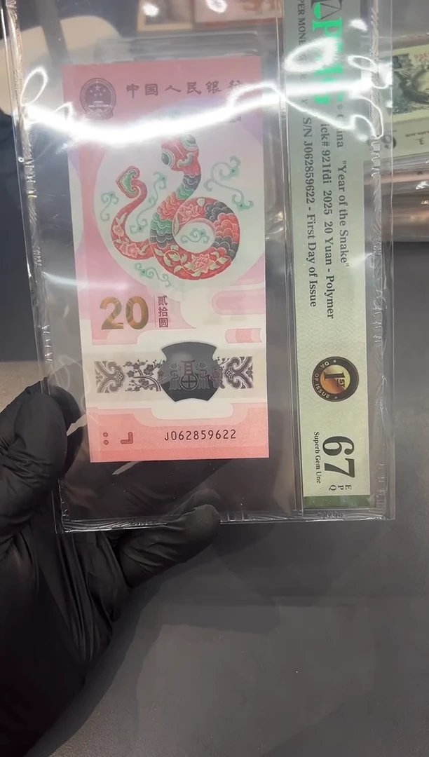 塑料小蛇钞尾9622单张。。。