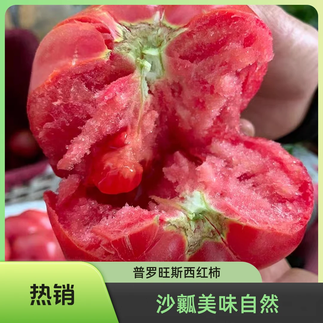 普罗旺斯水果西红柿4.5斤新鲜自然沙瓤水果番茄农产品