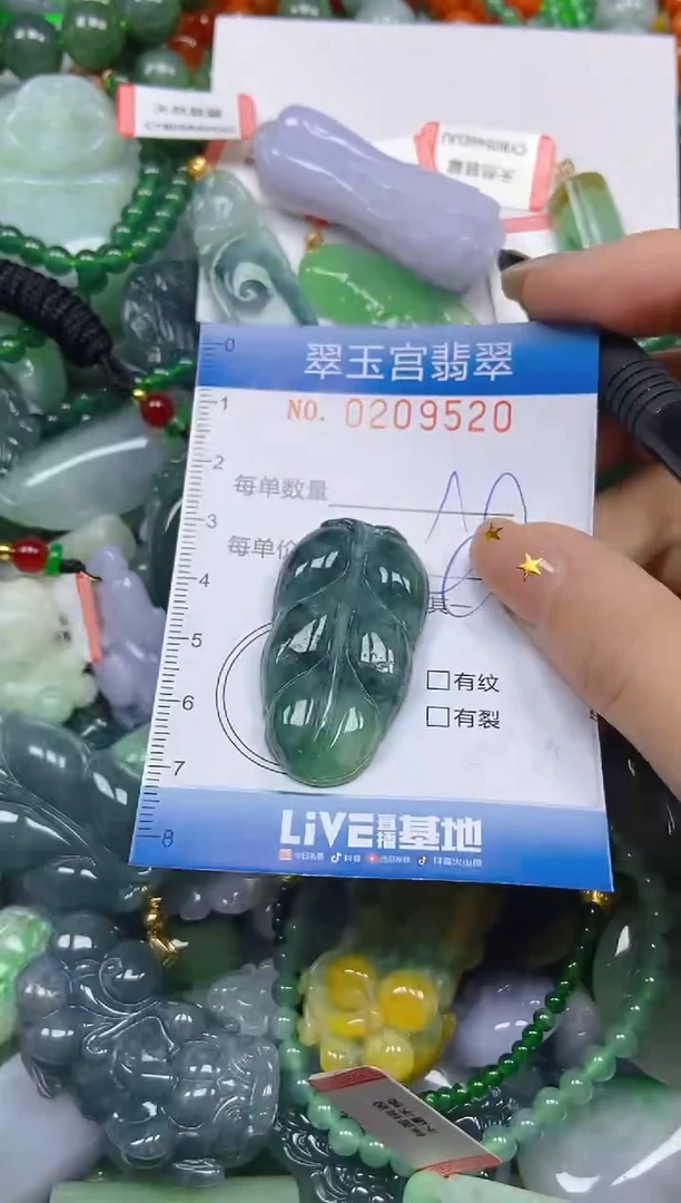 颈饰未镶嵌翡翠闪购C0209520