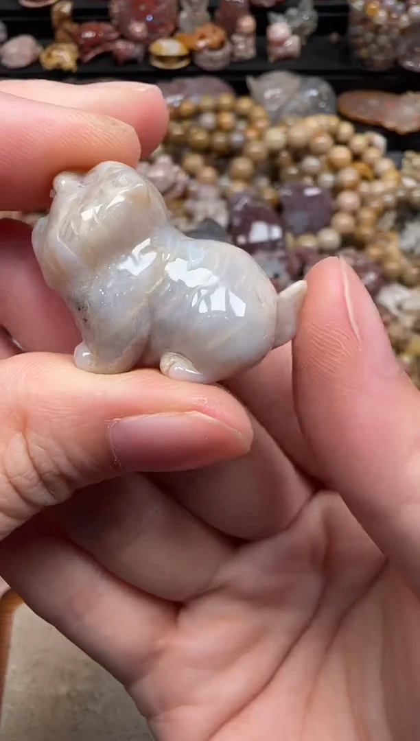 硅化珊瑚（珊瑚玉）未镶嵌颈饰360