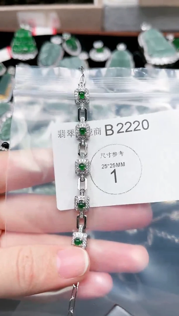 【闪购商品】翡翠颈饰未镶嵌赠皮绳2220