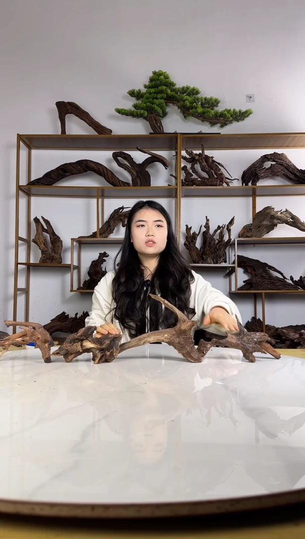 神****®拍沉木定向链接编号32-4