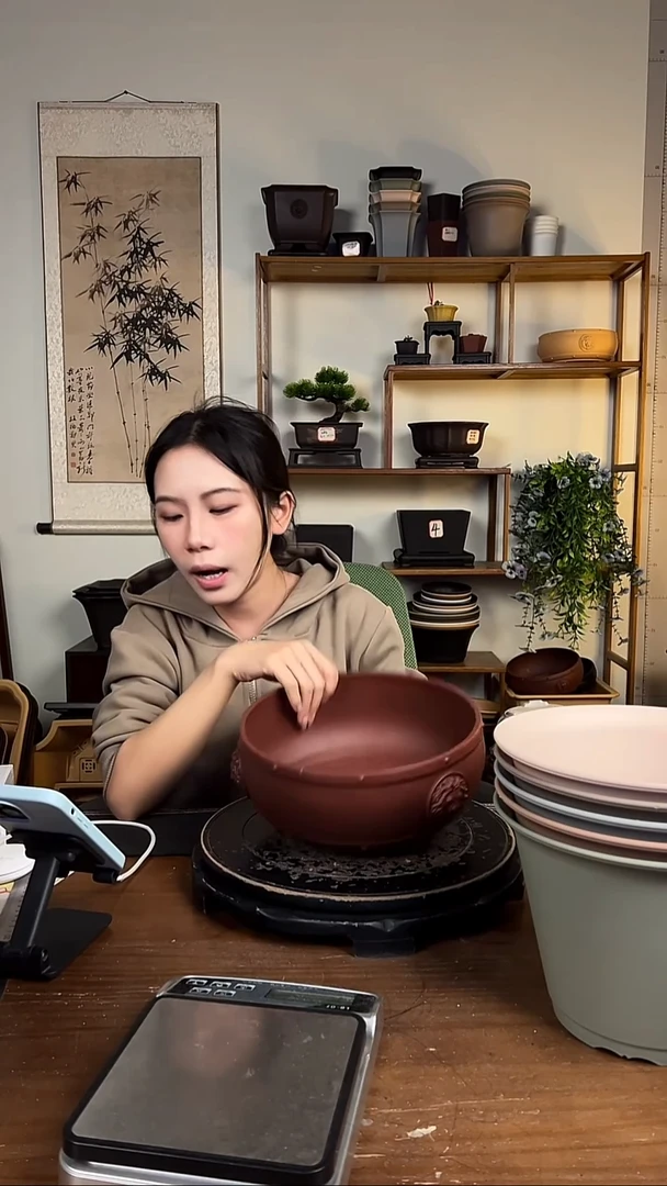 2只随机颜色24*10.7cm鼓形圆盆