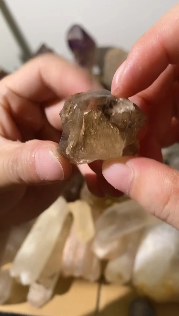 6号未镶嵌水晶重庆千层茶骸骨