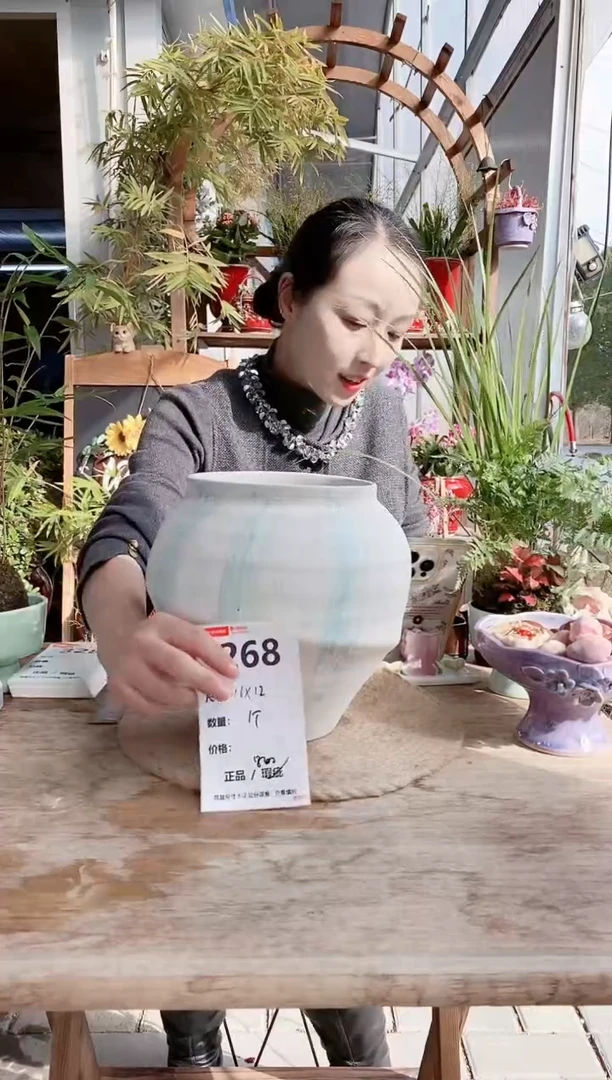 小玩子花盆直播编号268