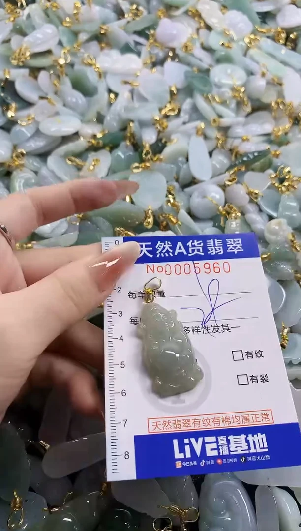 颈饰未镶嵌翡翠天然A货翡翠