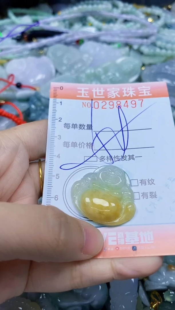 翡翠未镶嵌颈饰闪购0298497多样性发其一