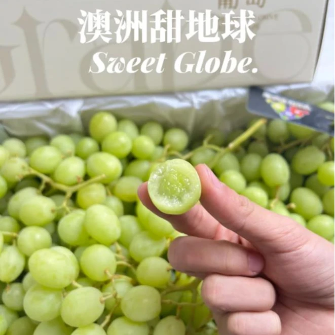 【澳洲甜地球】澳洲甜地球青提葡萄 嘎嘣脆甜巨好吃 1斤装广东省
