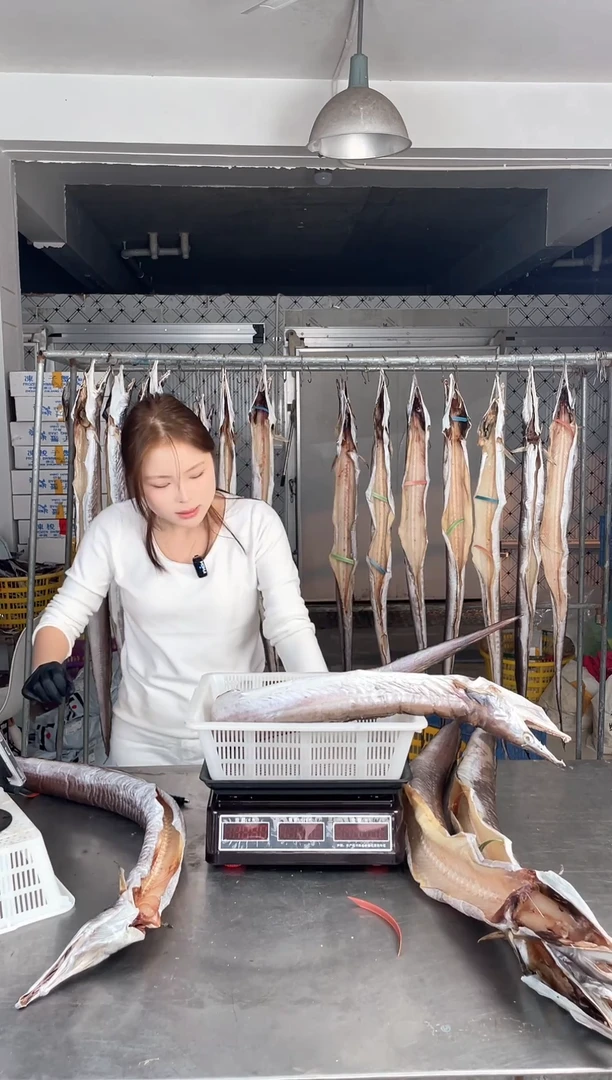 中国大陆3.9斤风鳗1条