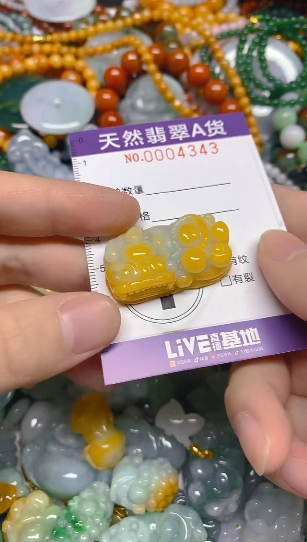 颈饰未镶嵌翡翠0004343