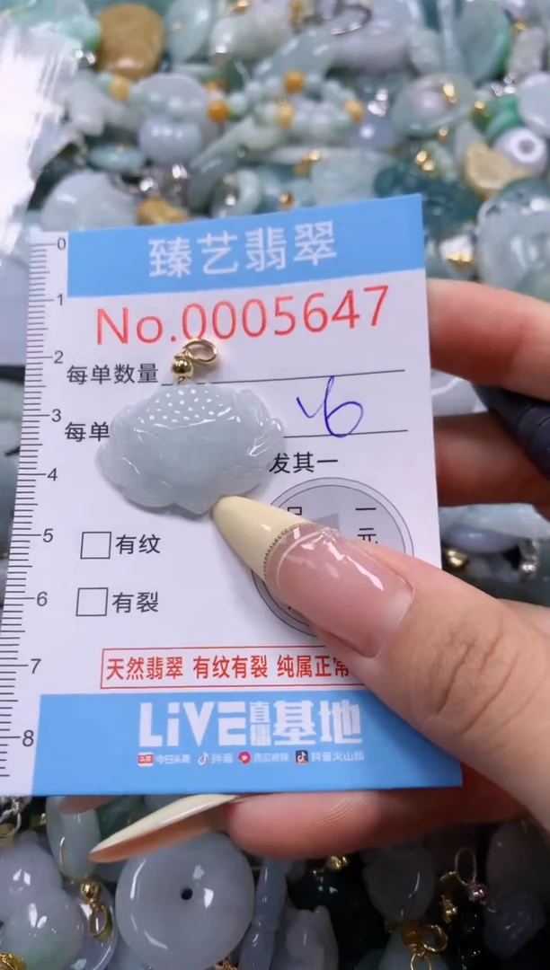 翡翠未镶嵌颈饰含绳0005647