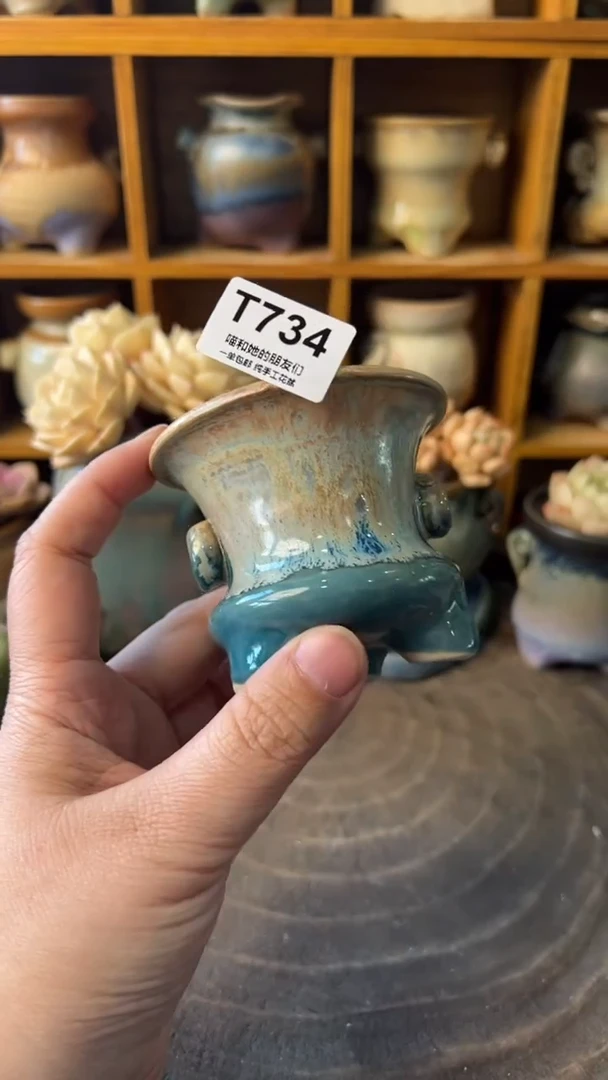 莫*734【多肉花盆多肉盆】