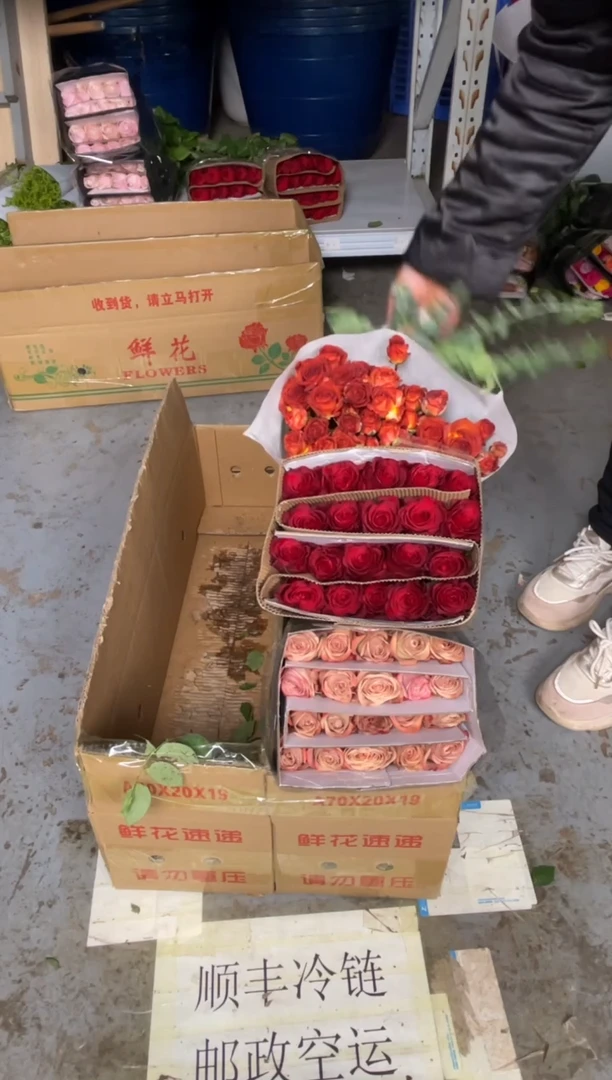 高原红20枝+卡布20枝+巧克力10枝+尤加利