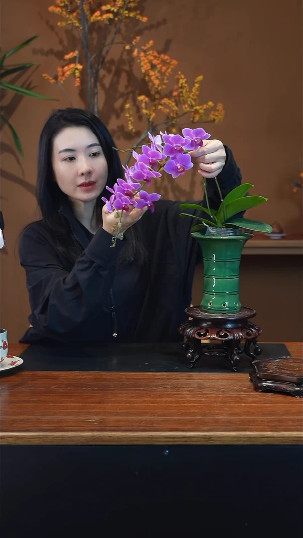 全部花朵粉珠帘盆景盆景盆景