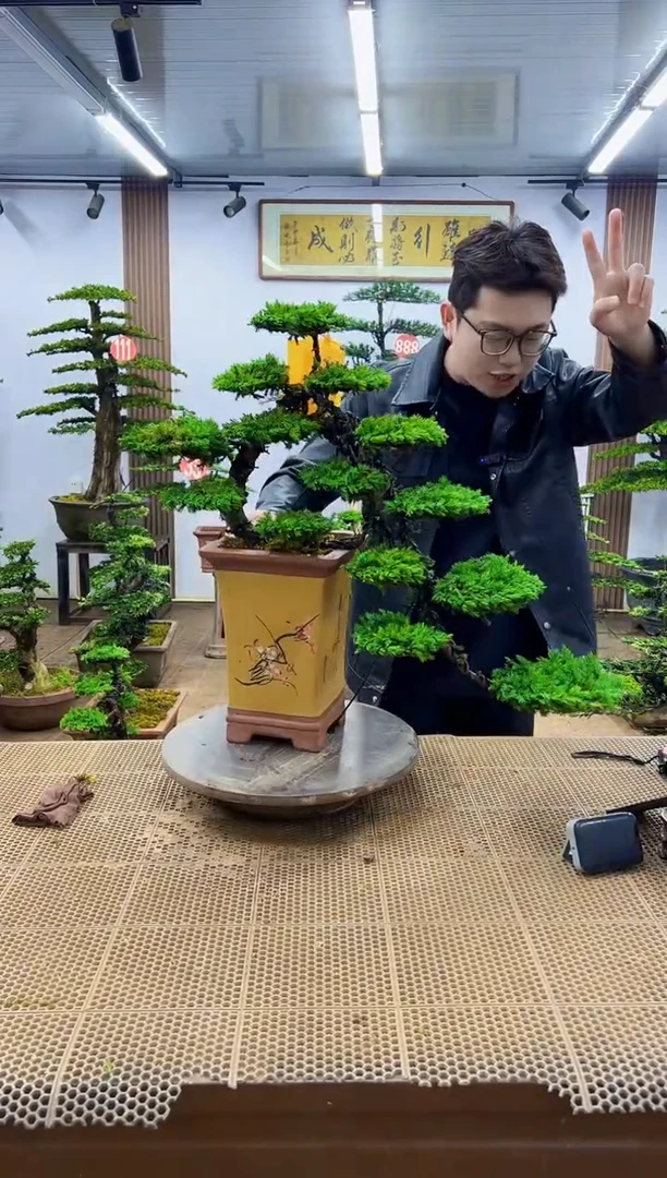 一物一拍，所见即所得