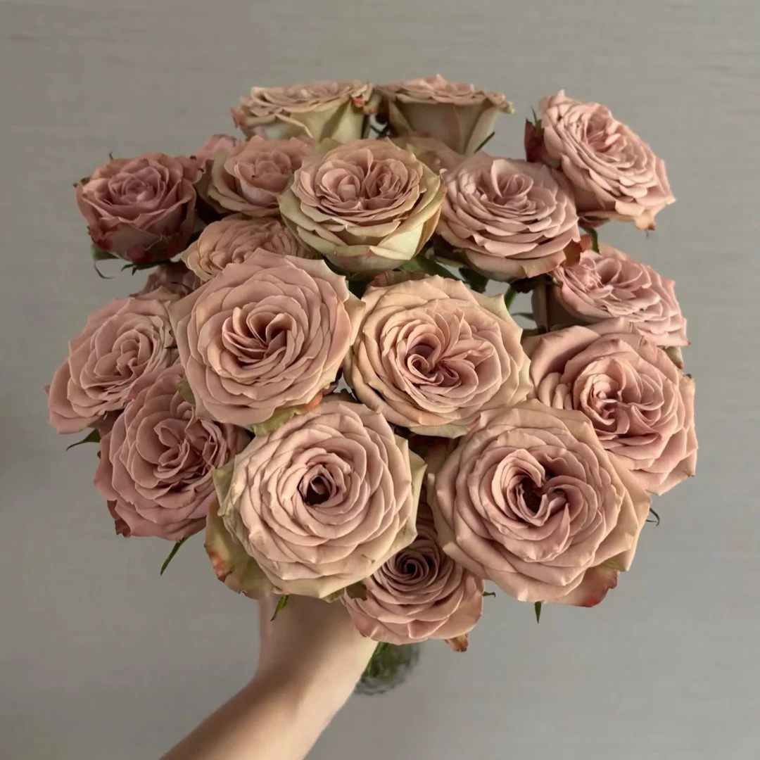 【卡布奇诺】云南鲜花世界基地直发多头玫瑰心动