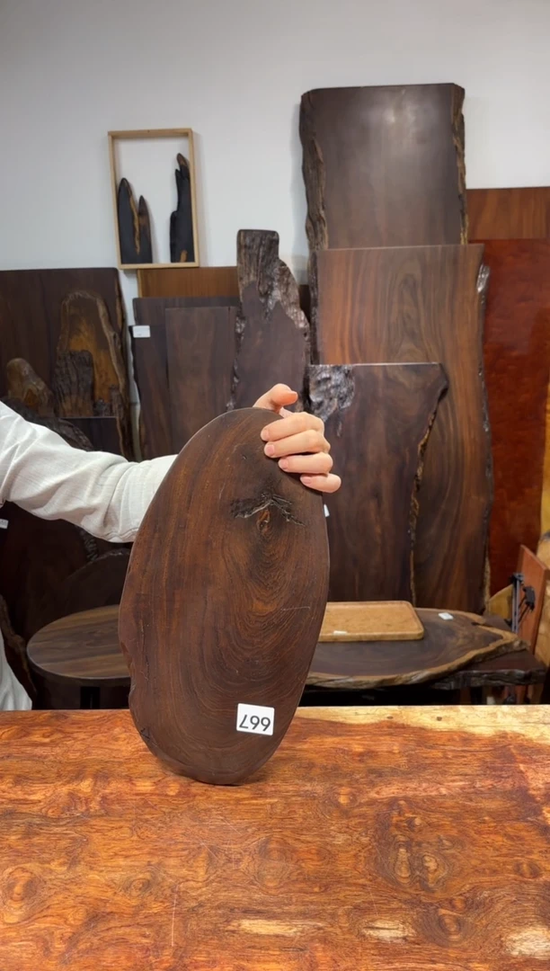 风车木（黑檀木）木头款667