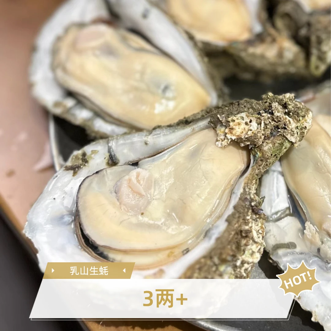 【20只3两+】金标乳山生蚝6斤左右当日达送货上楼
