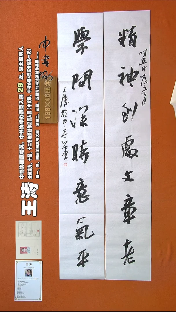 【闪购商品】书法371王涛书法作品