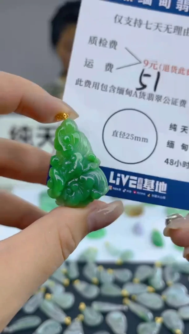 颈饰18K金镶嵌翡翠天然A货翡翠  51
