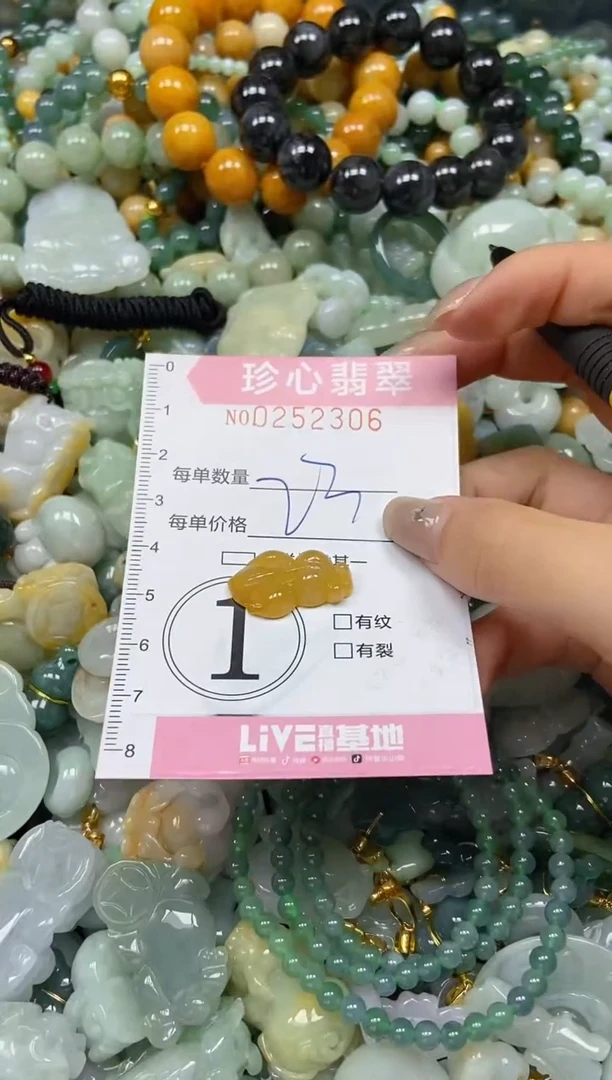 翡翠未镶嵌颈饰闪购0252306