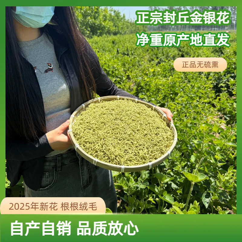 金银花封丘原产地自产自销带绒毛金银花2025年新货无熏硫金银花