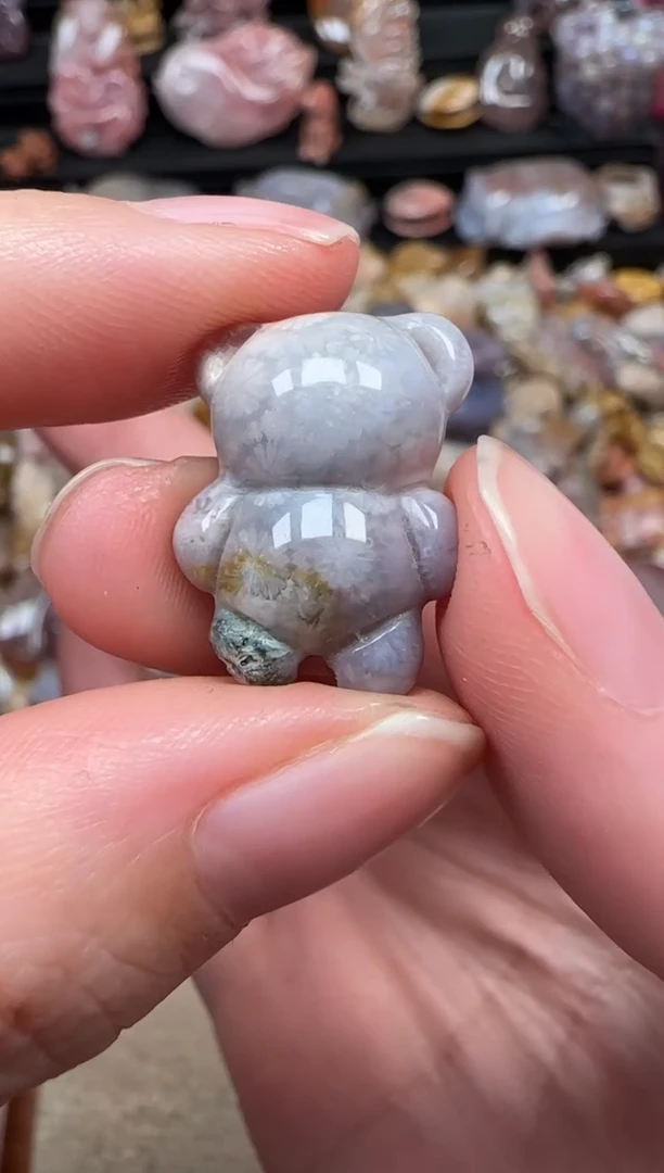 颈饰未镶嵌硅化珊瑚（珊瑚玉）319