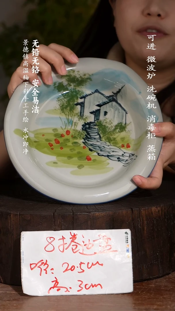 碗陶瓷景德镇高温瓷釉下彩手绘陶瓷