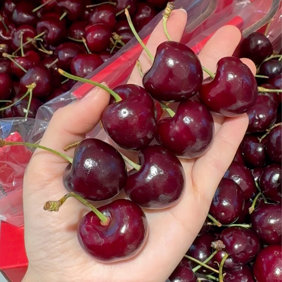 智利2JJD纯冰车厘子（2.5kg）
